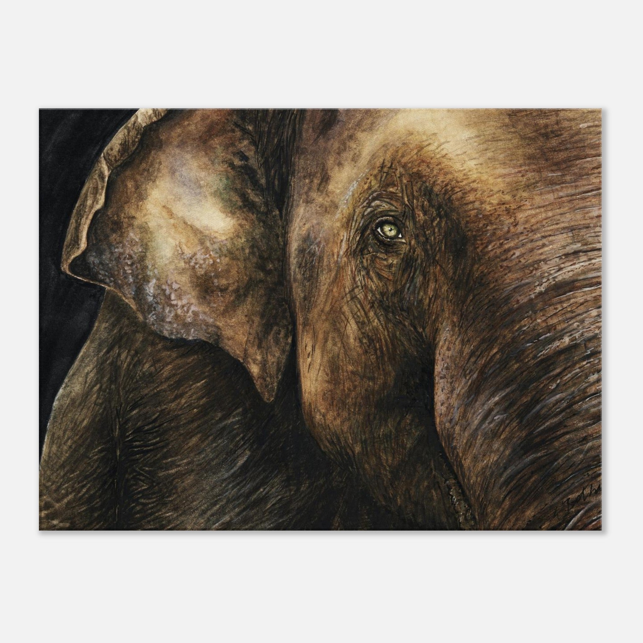 21dfa62f-93df-4721-abe1-6e60ef6f03ec