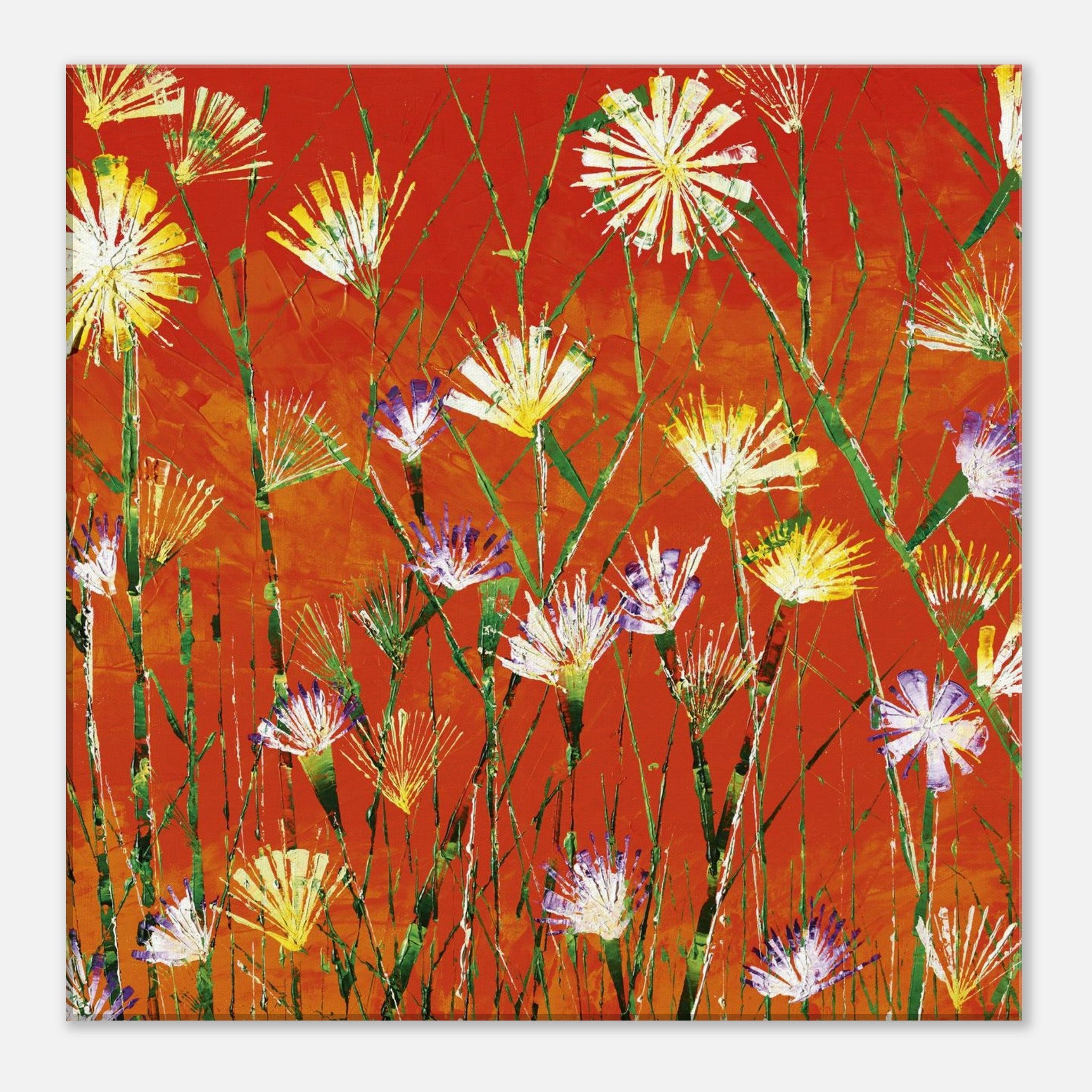 72977650-b23c-444d-ab10-5d25beedfa56