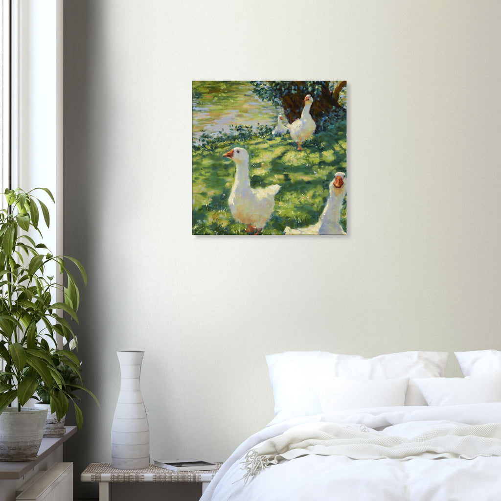 Canvas – Morning Swim