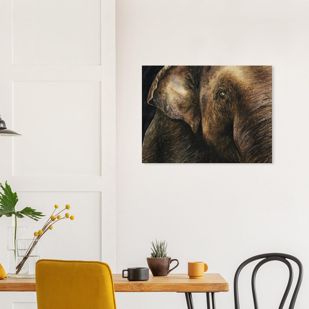 Canvas – Elephant