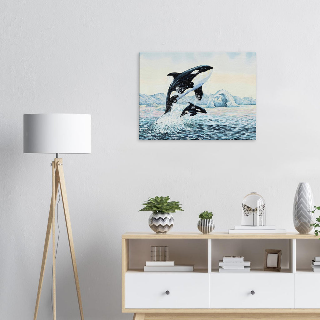 Canvas – Gentle giants (Orca whales)
