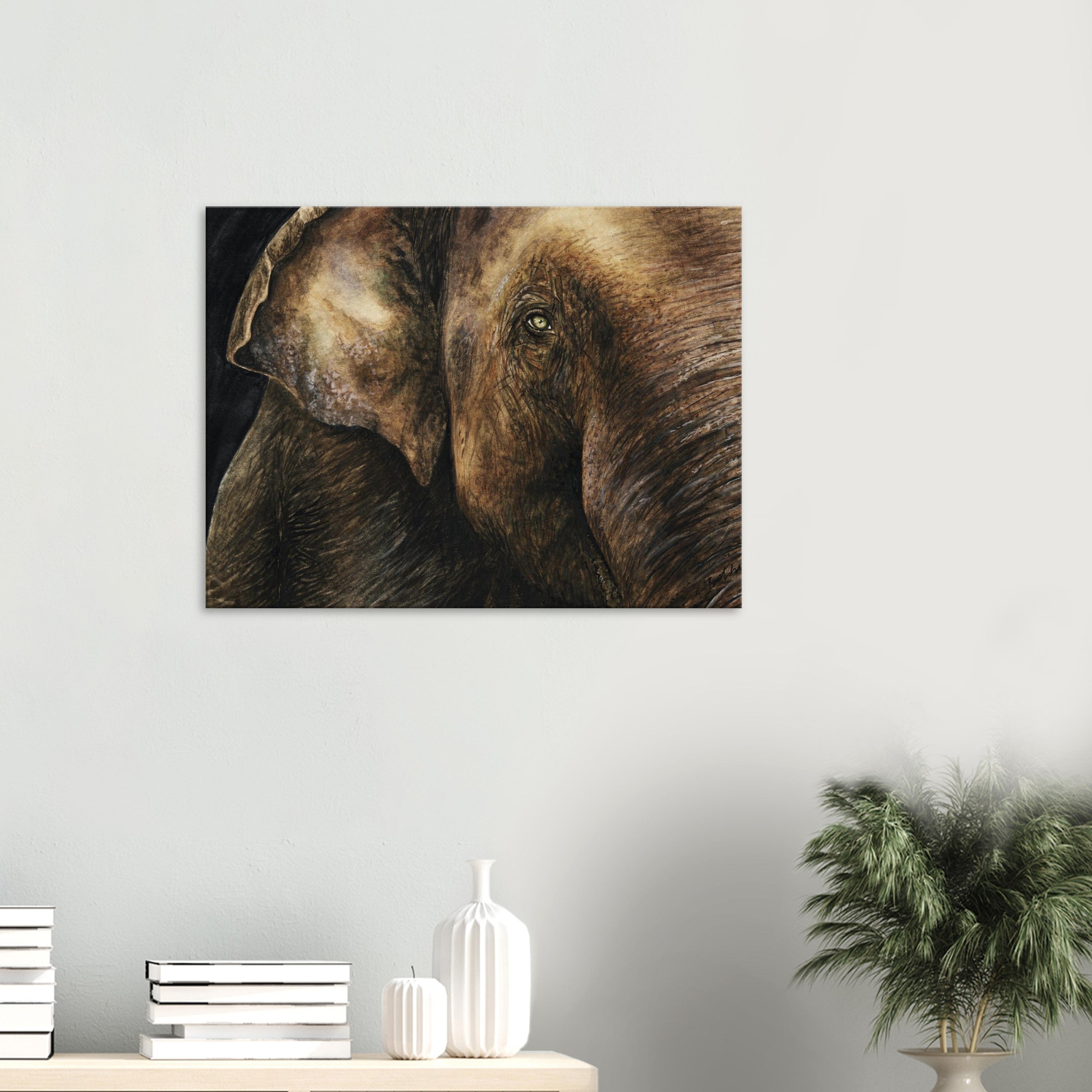 Canvas – Elephant