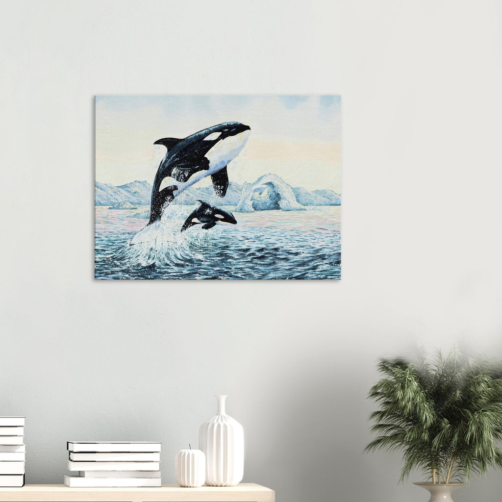 Canvas – Gentle giants (Orca whales)