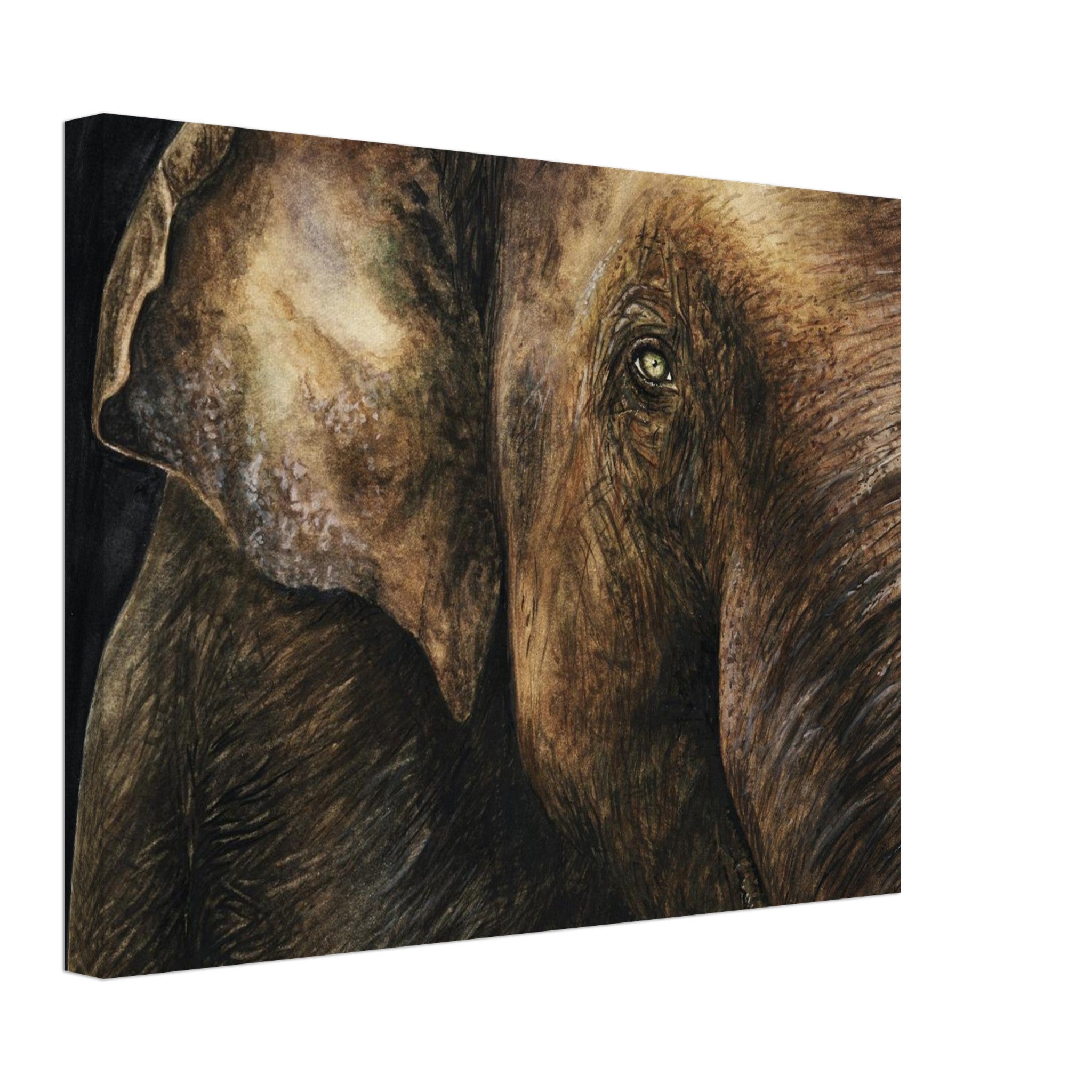 b428b0b9-ebe8-4c15-8542-508fd648df66