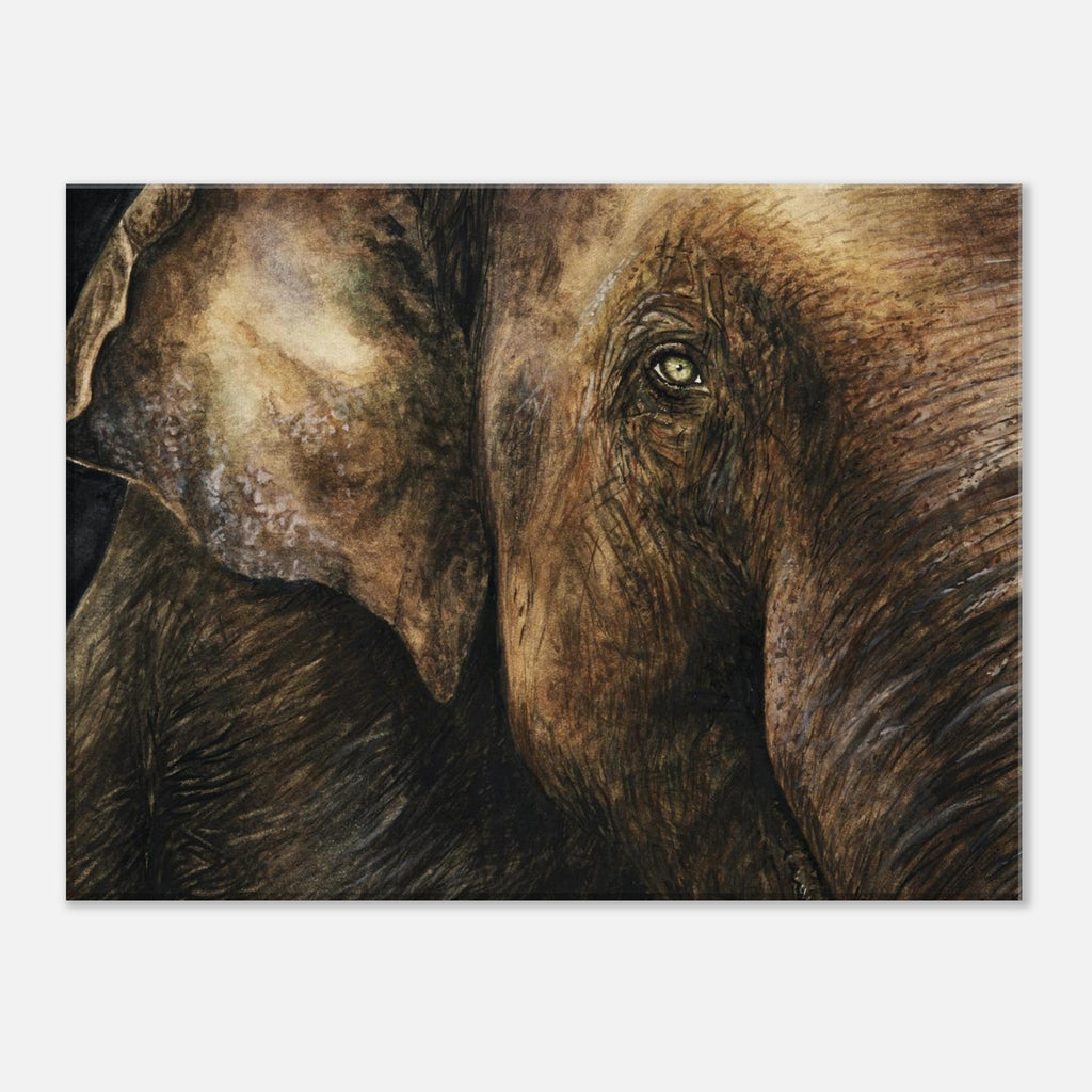 fa5fa341-9bf9-408b-a7f1-f57ebcb0a2f4