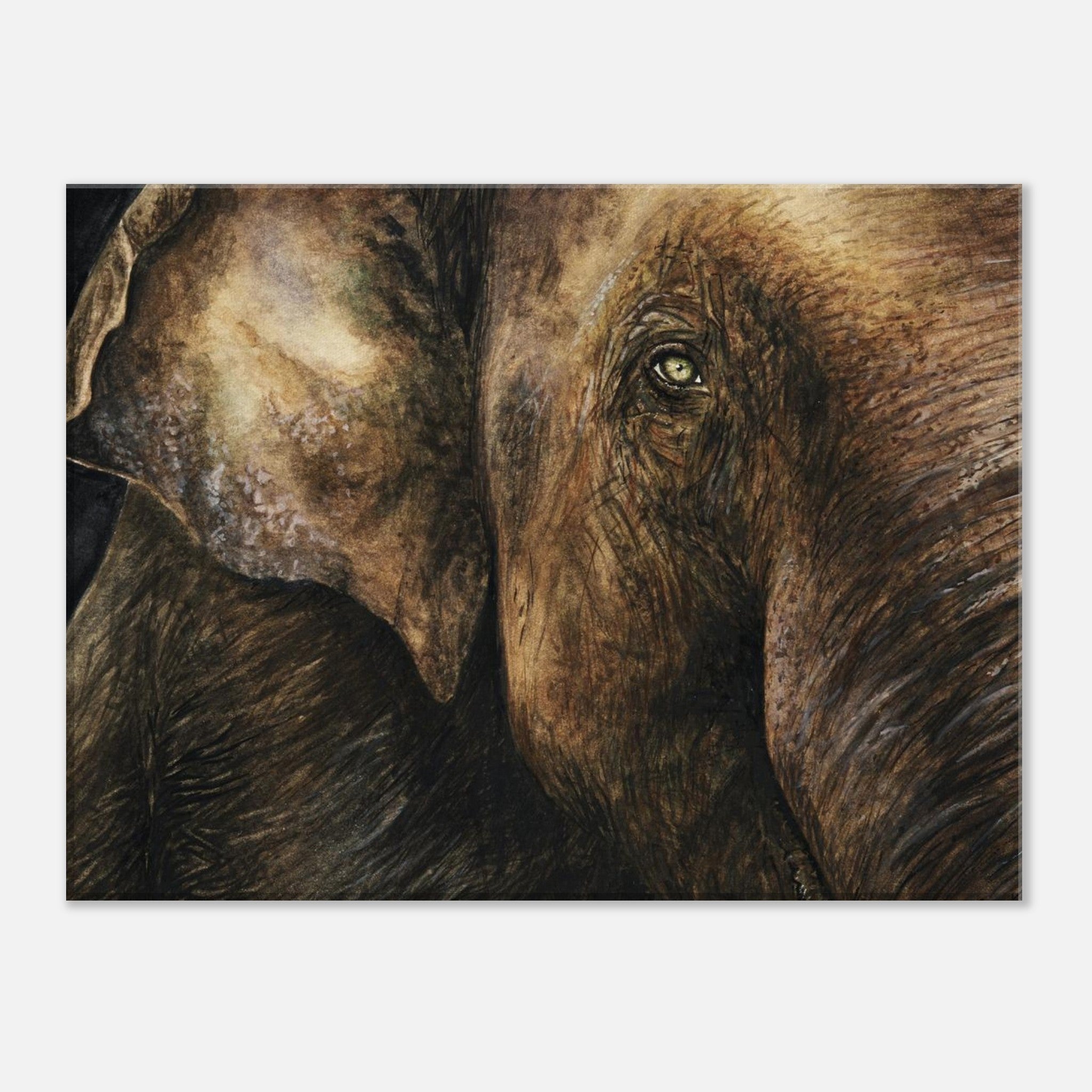 fa5fa341-9bf9-408b-a7f1-f57ebcb0a2f4